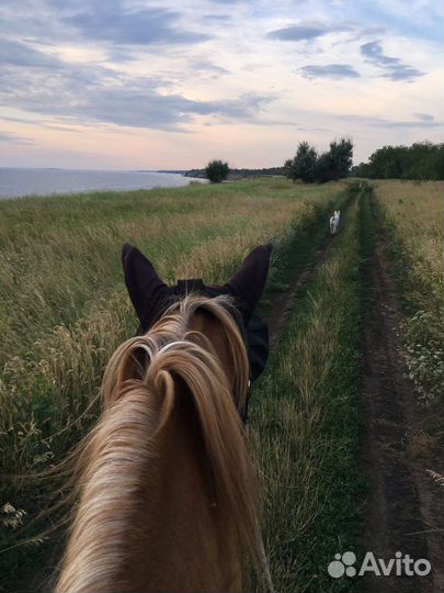 Прогулки верхом круглый год