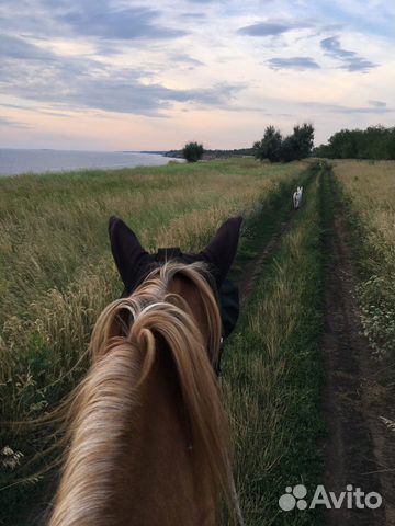 Прогулки верхом круглый год