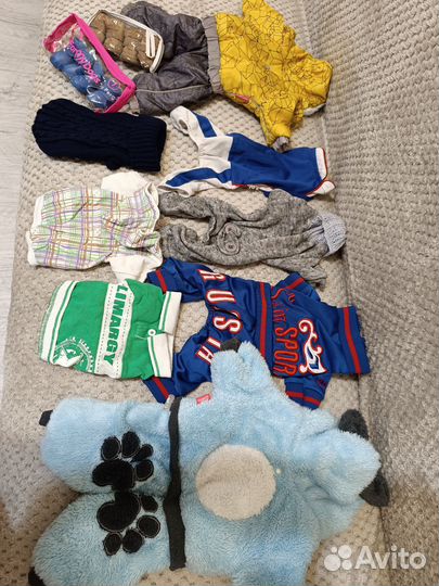 Одежда для собак мелких пород пакетом