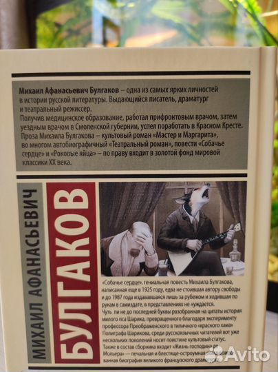 Собачье сердце Булгаков