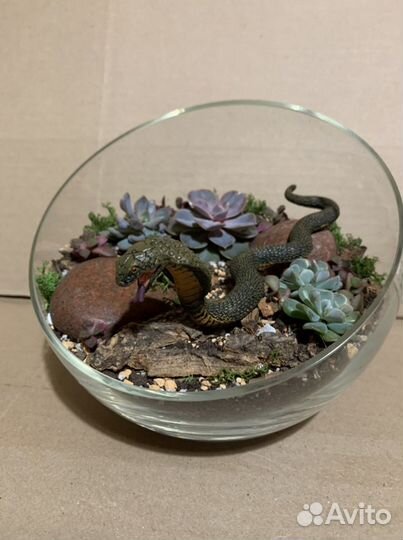 Флорариумы разные на заказ