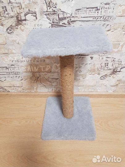 Когтеточка