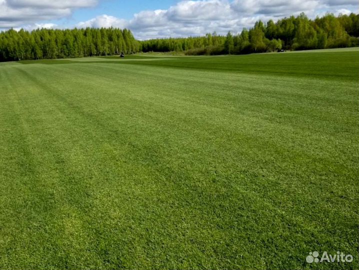Рулонный газон