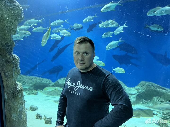 Аквариум, гарантии, обслуживание, дизайн