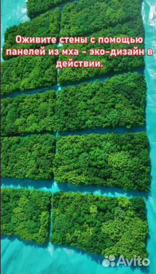 Оживите стены с помощью панелей из мха - эко-дизай