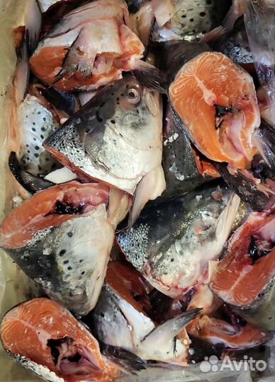 Хребты лососевые. Суповой набор лососевый