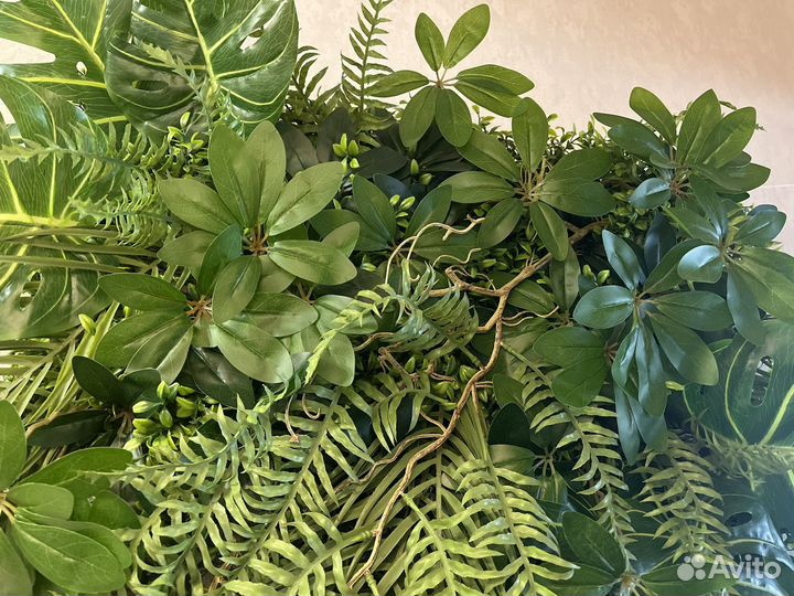 Фитокартина