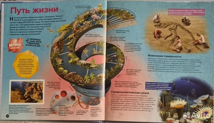 Энциклопедия для детей