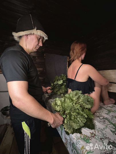 Баня с пармастером