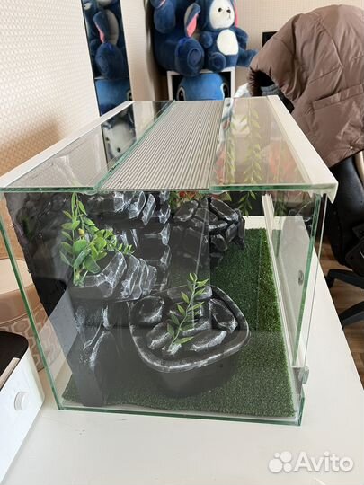 Террариум для рептилий