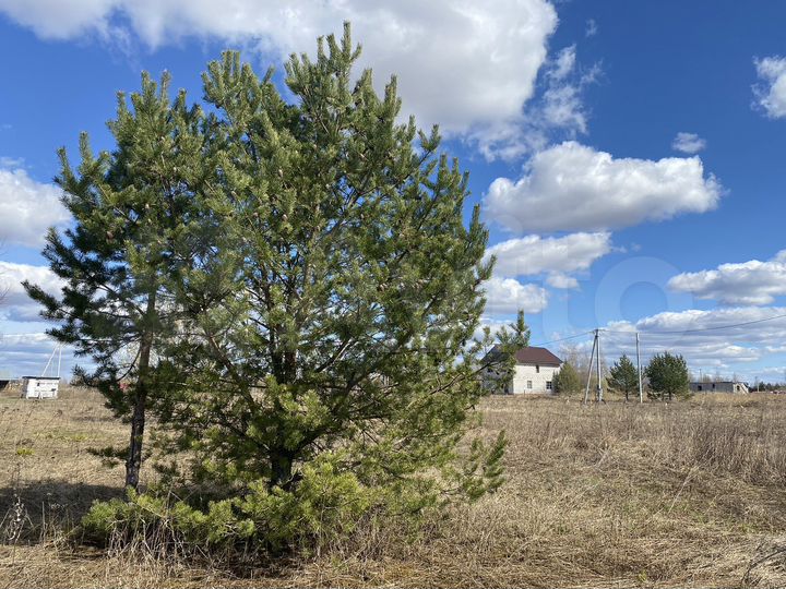 Участок 8,3 сот. (ИЖС)