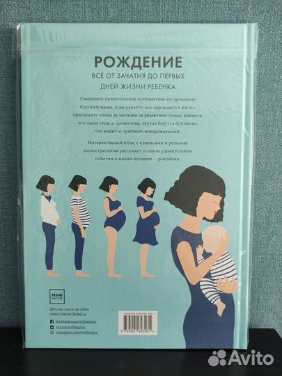 Элен Дрювер 