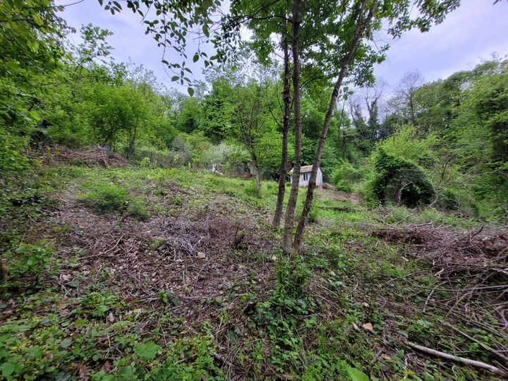 Участок 7,1 сот. (СНТ, ДНП)