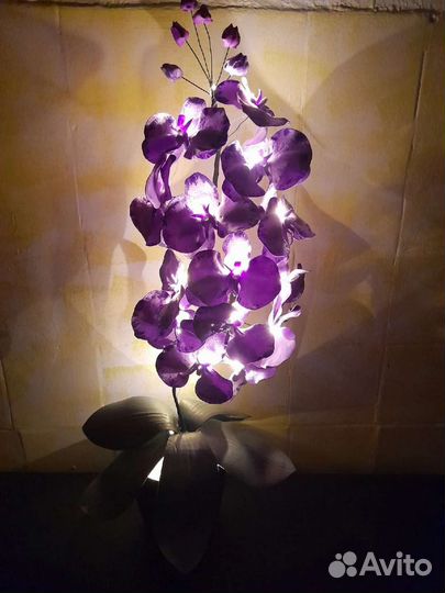 Музыка ветра