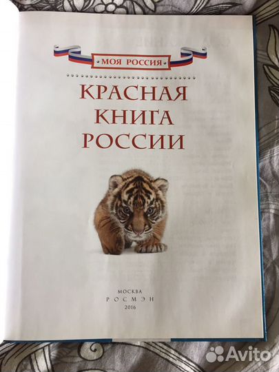 Детские книги. Новые