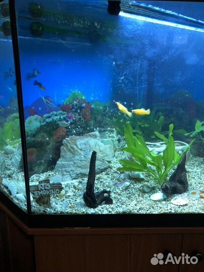 Чистка аквариума