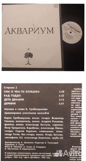 Аквариум, барды, Ленинградский рок-клуб винил