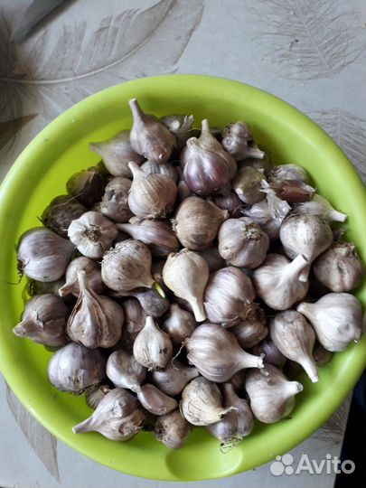 Чеснок 900г