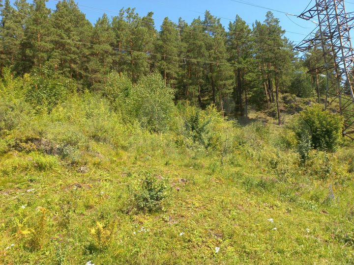 Участок 1,2 га (СНТ, ДНП)