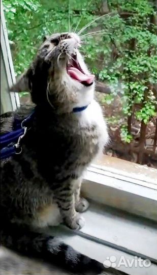 Эти глаза напротив. В поисках счастья