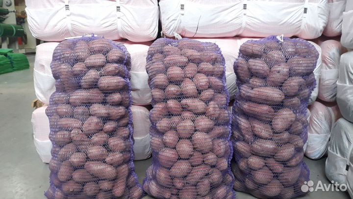 Сетка-мешок 35-40 кг, на завязках, 50х80