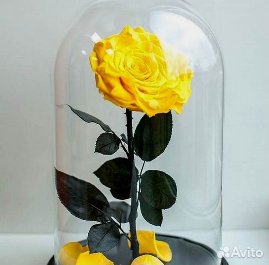 Роза в колбе. Стоит до 8 лет