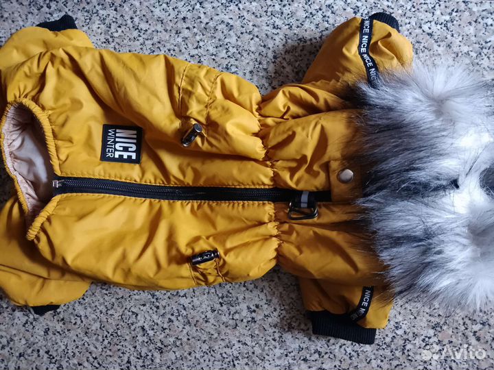 Комбинезон для средней собаки