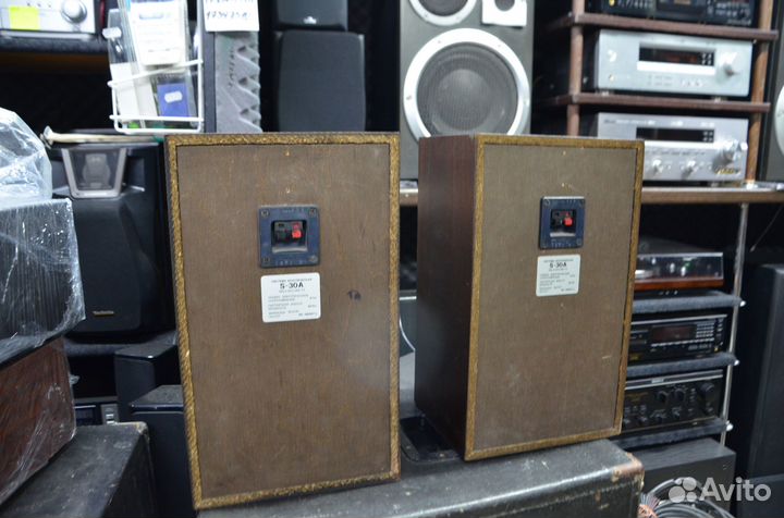 Колонки Радиотехника S-30