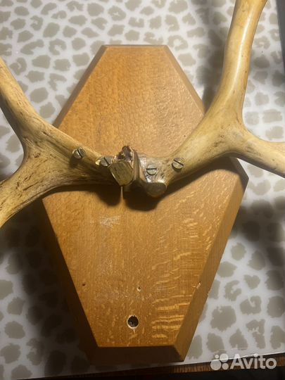 Ретро винтаж вешалка рога оленя