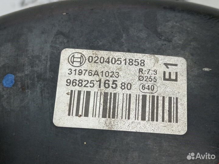 Усилитель для Peugeot-Citroen 307