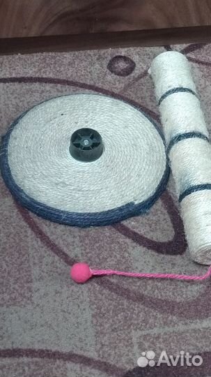 Когтеточка