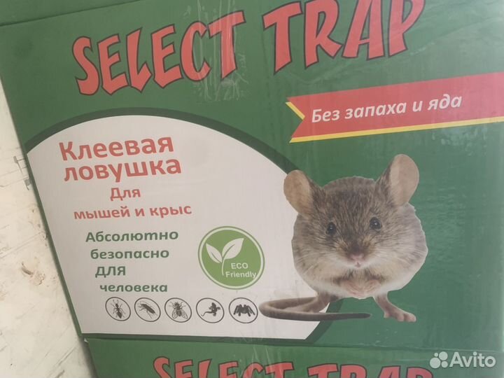 Клеева ловушка Иран 110 грамм