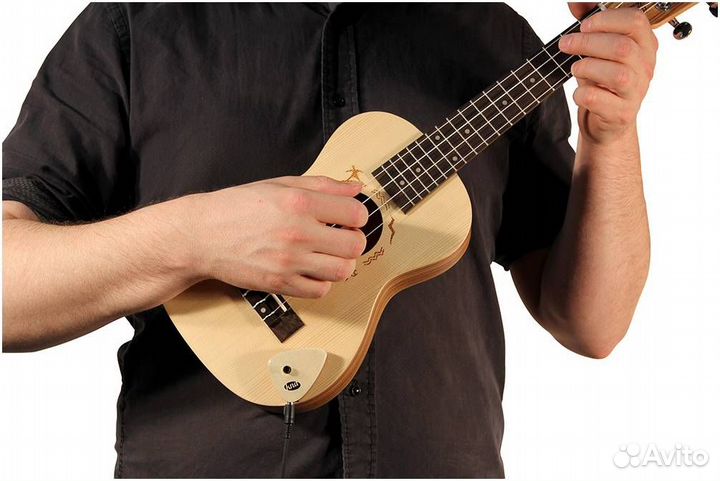 KNA AP-2 - Звукосниматель