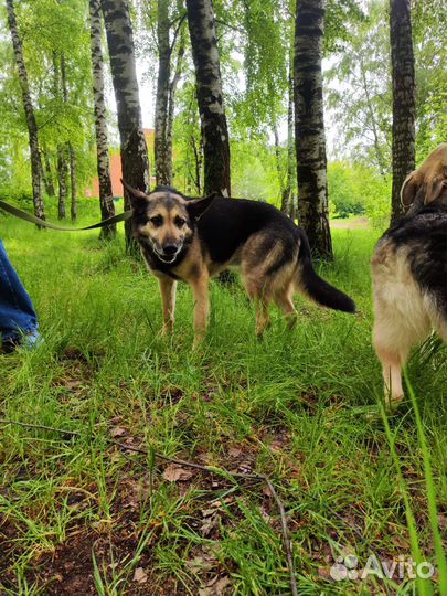 Оказался ненужным и на улице