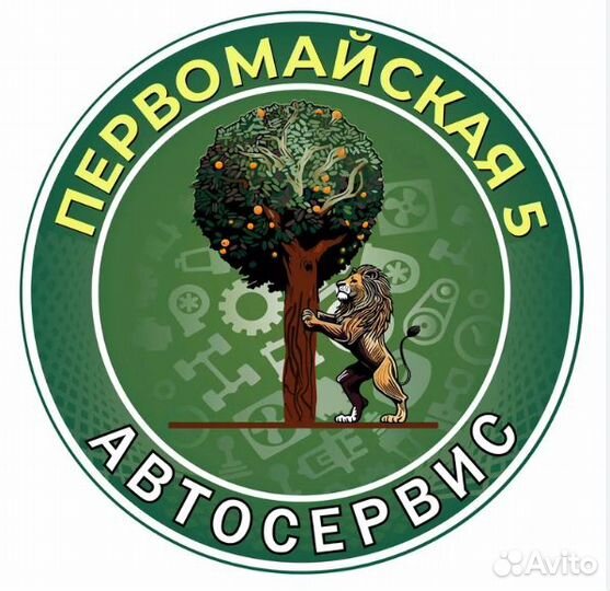 Автоэлектрик диагност