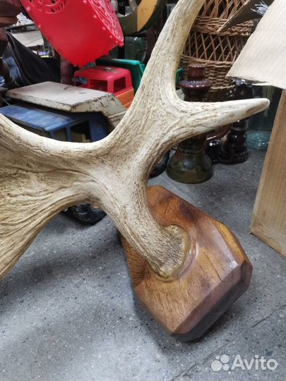 Рога лося в интерьер винтаж СССР