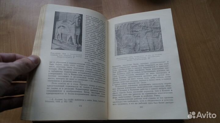 2507,13 Донини А. Люди, идолы и боги пер с итал. М