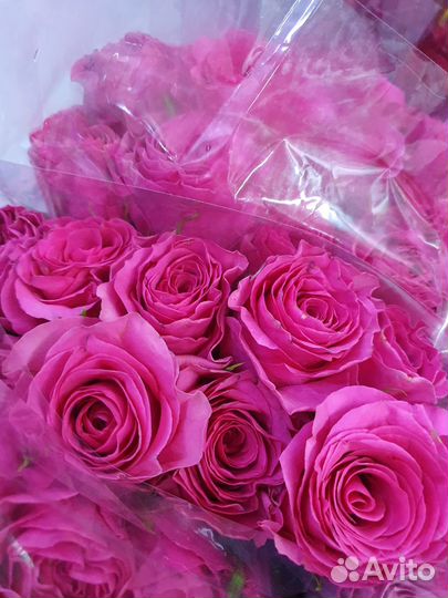 Розы оптом