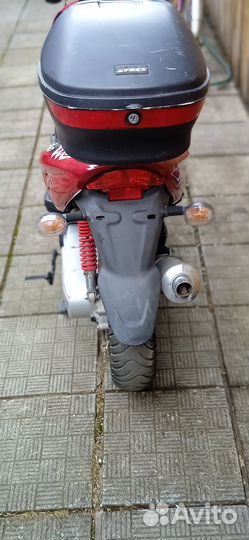 Скутер stels tactic 50