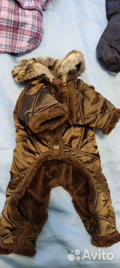 Одежда для маленькой собачки