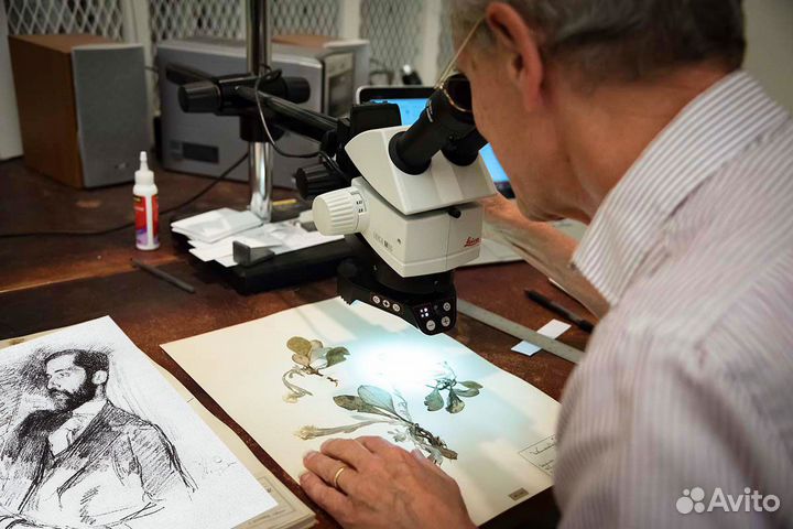 Бесплатная оценка картин и антиквариата с выкупом