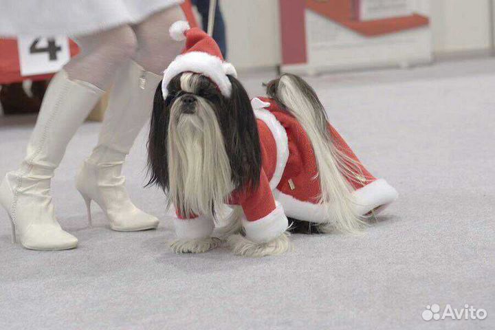 Услуги швеи