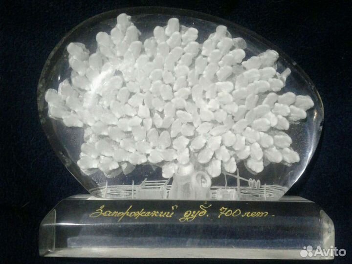 Сувенир запорожский дуб.700лет