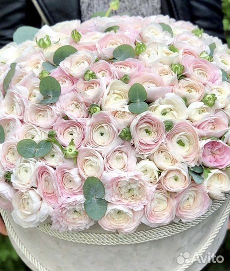 Ранункулюс доставка цветов