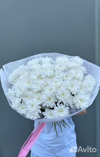 Хризантемы