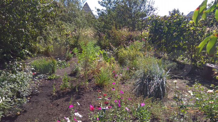 Дача 20 м² на участке 9 сот.