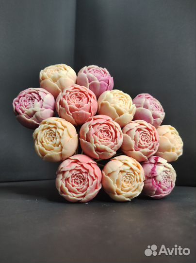 13 Пионов из Настоящего Бельгийского Шоколада