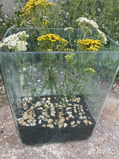 Стеклянная колба / ваза / из толстого стекла