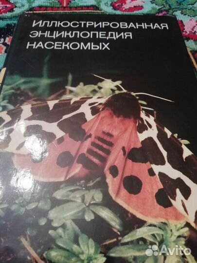 Иллюстрированная энциклопедия насекомых