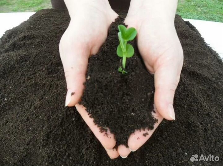 Плодородный грунт, фасованный, россыпью